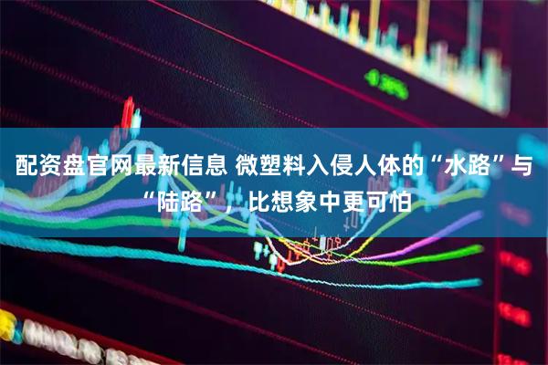 配资盘官网最新信息 微塑料入侵人体的“水路”与“陆路”，比想象中更可怕