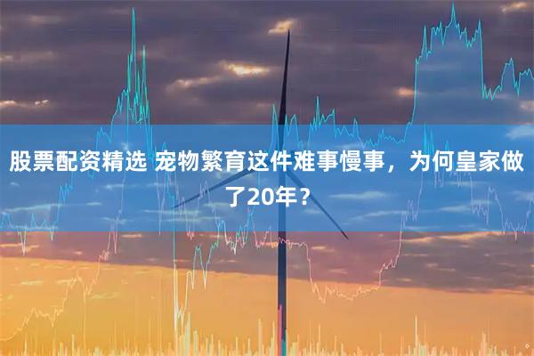股票配资精选 宠物繁育这件难事慢事，为何皇家做了20年？