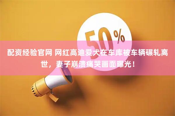 配资经验官网 网红高迪爱犬在车库被车辆碾轧离世，妻子崩溃痛哭画面曝光！